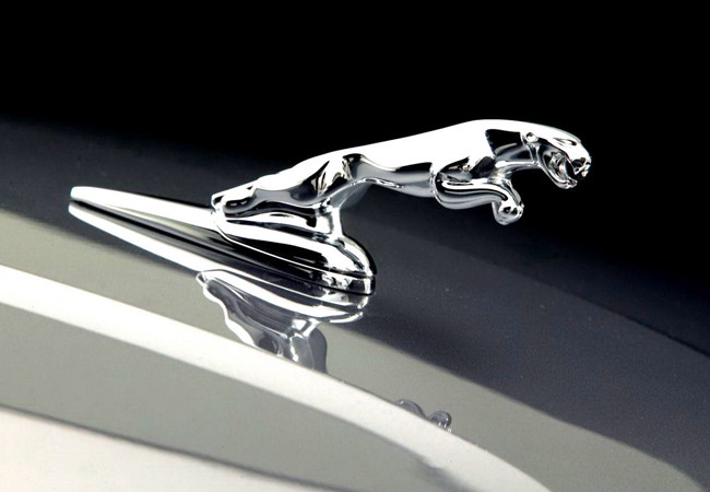 Simbolo da Jaguar sobre capo